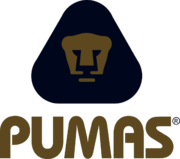 Pelotas Pumas